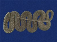 藏品(草花蛇)的圖片